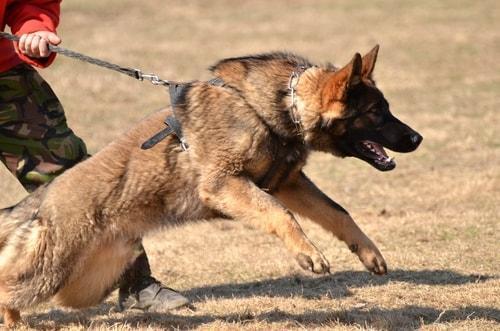 Illinios accident lawyer, Illnois personal injury attorney,